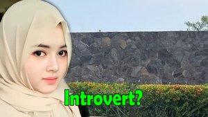 introvert-trending-di-twitter-bagaimana-sifat-introvert-menurut-islam-dan-bahasa-gaul.jpg