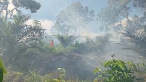 karhutla-tanjung-rambutan-kampar.jpg
