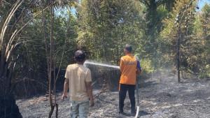 lahan-terbakar-di-Tebing-Tinggi-Okura-pekanbaru.jpg