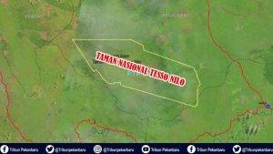 menteri-lhk-kapolri-panglima-tni-ke-pelalawan-riau-ada-mantan-jaksa-yang-beli-lahan-tntn-benarkah.jpg