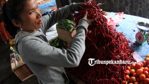 pedagang-cabe-cabai-pasar-rumbai_20180320_173845.jpg