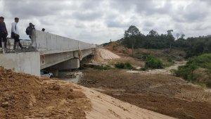 perlintasan-gajah-di-jalan-tol-pekanbaru-dumai.jpg