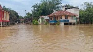 rumah-milik-warga-Desa-Lubuk-Kembang-Bunga-Ukui-banjir.jpg