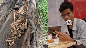 tengkorak-kerangka-dalam-pohon-aren-yang-mati.jpg