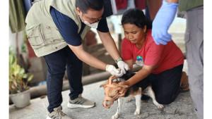vaksin_rabies_di_pelalawan_18092025.jpg