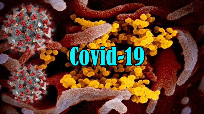 13-istilah-terkait-corona-dalam-bahasa-minang-tersebar-di-grup-whatsapp-cegah-penyebaran-covid-19.jpg