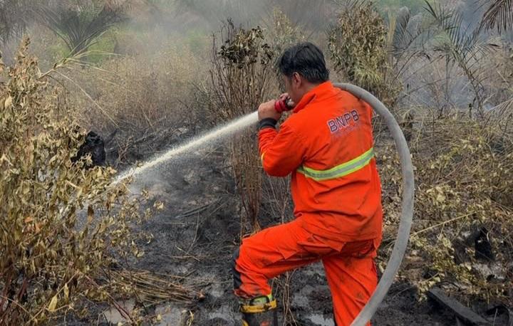 Rumbai dan Payung Sekaki, Dua Kecamatan Paling Banyak Lahan Terbakar di Kota Pekanbaru - Tribunpekanbaru.com