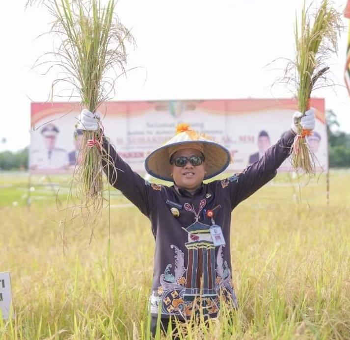 Tekan Ketergantungan Beras Dari Luar Kuansing, Bupati Targetkan 3.000 Hektar Sawah 2 Kali Panen