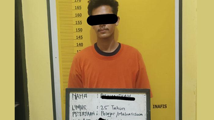 Nasib Pemuda di Kuansing Nekat Curi 24 Tandan Sawit, Dipolisikan Pemilik Kebun
