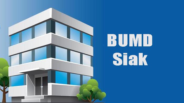 Ilustrasi-BUMD-Siak.jpg