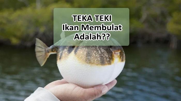 Jawaban-Ikan-Membulat-Adalah-Apa-di-Teka-Teki-atau-Tebak-Tebakan-Tentang-Makanan.jpg