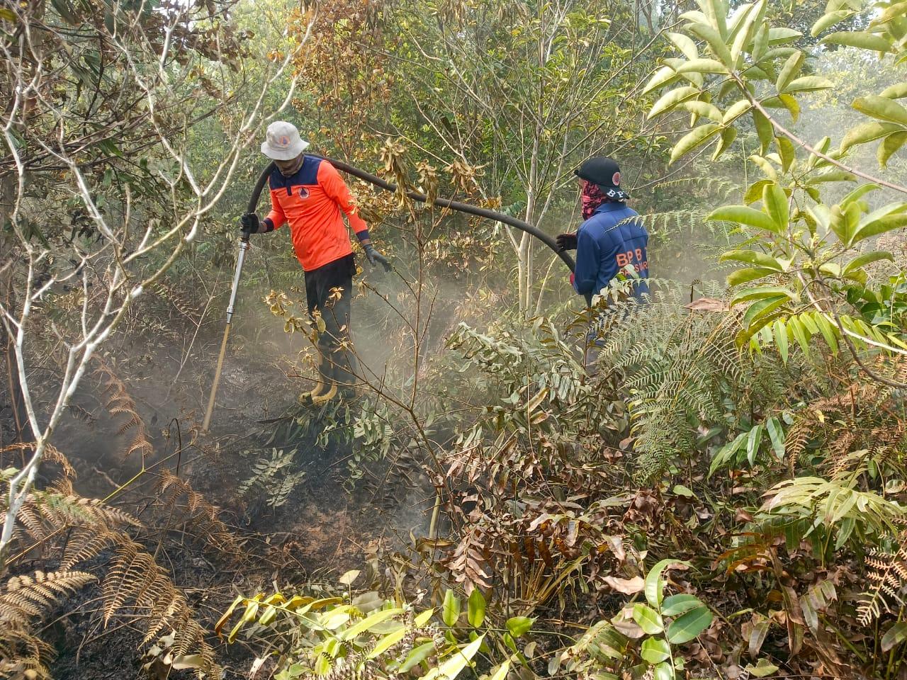 Karhutla-di-Mundam-meluas-Tim-Satgas-Darat-masih-berjibaku.jpg