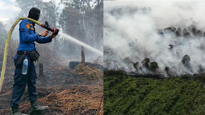Api Belum Padam dan Asap Masih Pekat, Pemadaman Karhutla di Teluk Meranti Pelalawan Berlanjut
