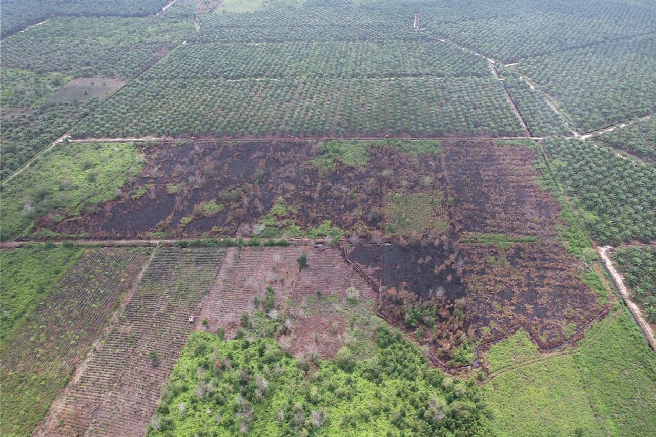 Karhutla-yang-melahap-semak-belukar-di-Kelurahan-Mundam-Kecamatan-Medang-Kampai-kota-Dumai.jpg