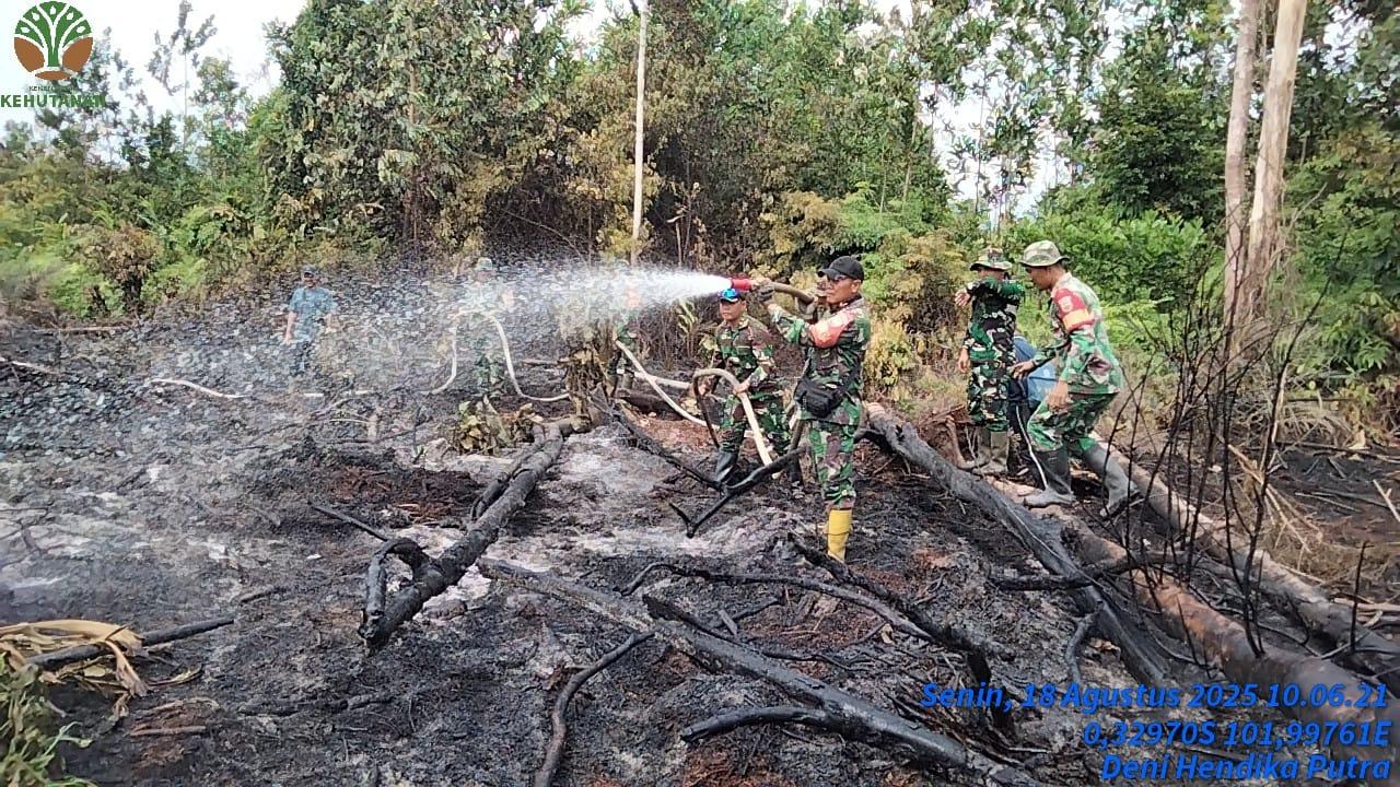 Kebakaran-Hutan-dan-Lahan-Karhutla-di-kawasan-Taman-Nasional-Tesso-Nilo-TNTN.jpg