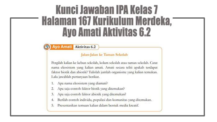 Kunci-Jawaban-IPA-Kelas-7-Halaman-167-Kurikulum-Merdeka-Ayo-Amati-Aktivitas-62.jpg