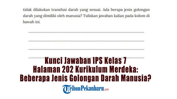 Kunci-Jawaban-IPS-Kelas-7-Halaman-202-Kurikulum-Merdeka-Beberapa-Jenis-Golongan-Darah-Manusia.jpg