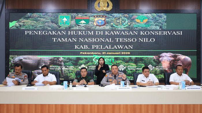 Polda-Riau-Tetapkan-Tiga-Tersangka-Perkebunan-Sawit-Ilegal-di-TNTN.jpg