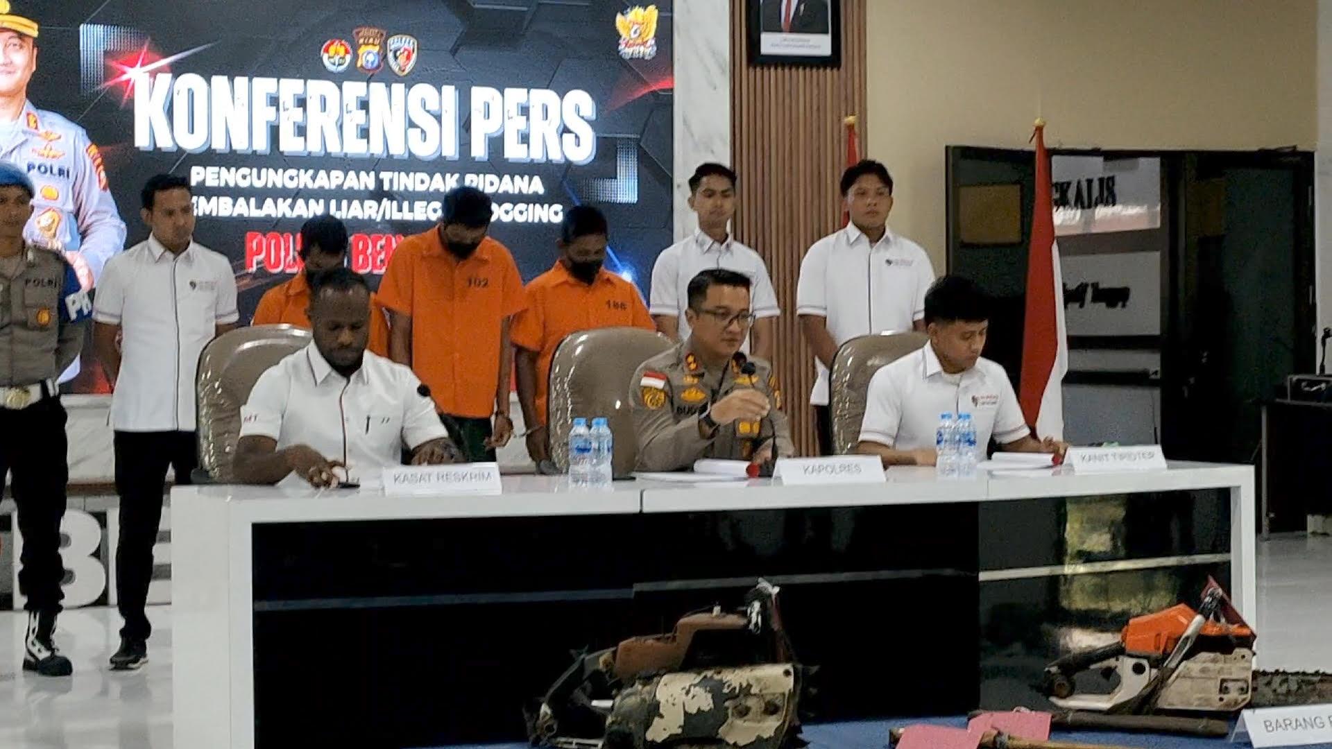 Penggerebekan Dini Hari di Hutan Bengkalis, 3 Pelaku Illegal Logging Ditangkap Bersama Kayu Meranti