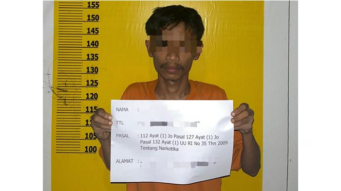 Asyik Pesta Terlarang di Kebun Sawit, Tiga Pria di Kuansing Panik Digerebek Polisi