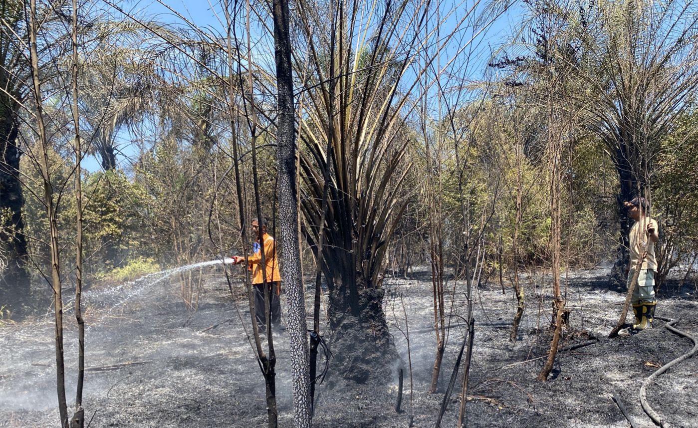 Tim-BPBD-Kota-Pekanbaru-melakukan-pemadaman-lahan-terbakar-di-Rumbai.jpg