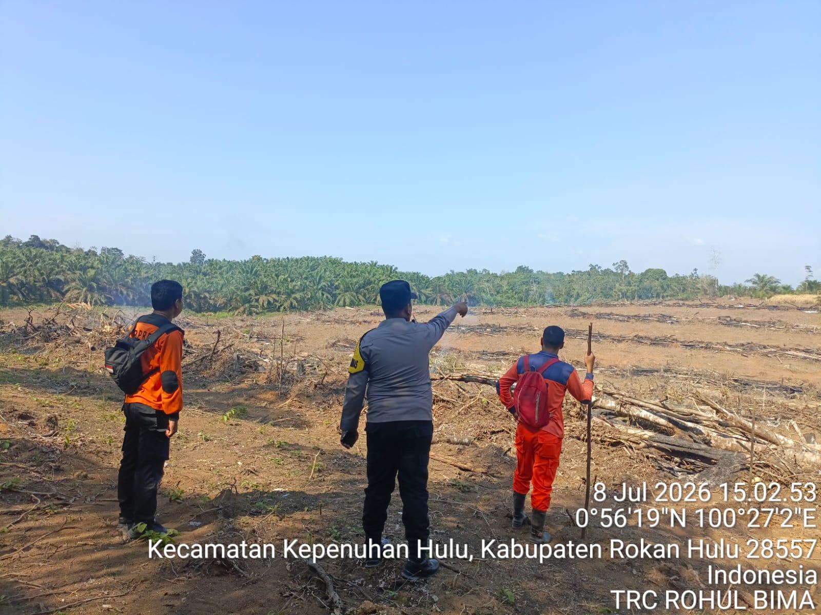 Kondisi Terkini Lahan Lebih dari Satu Hektare yang Terbakar di Rohul - Tribunpekanbaru.com