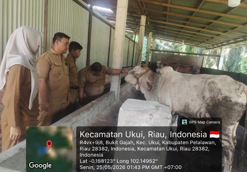 Tim-Disbunak-Pelalawan-monitoring-ternak-kurban.jpg