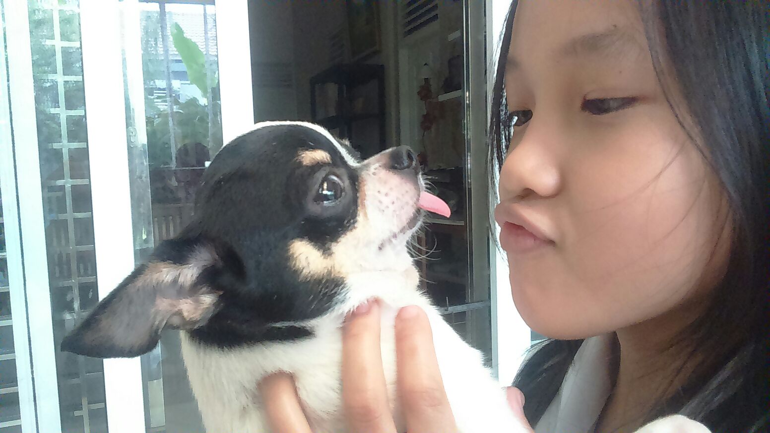 acara-pekanbaru-dogs-day_20160108_223703.jpg