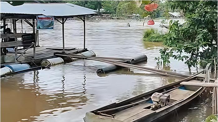 Debit Sungai Terus Naik, Pembudidaya Ikan di Kampar Perkuat Ikatan Keramba