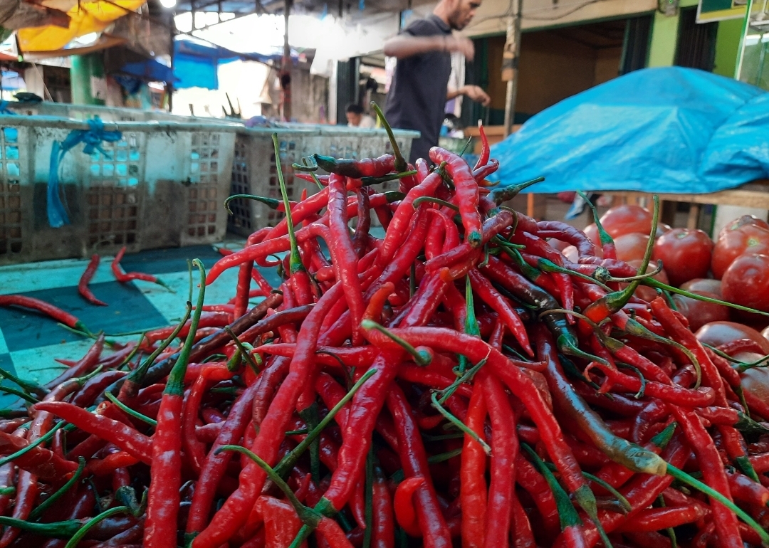 cabai_merah_bukittinggi_di_pasar_pagi_arengka.jpg