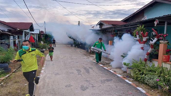 fogging-dbd-pelalawan.jpg