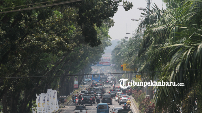 foto_kabut_asap_tipis_selimuti_pekanbaru_1.jpg<pf>foto_kabut_asap_tipis_selimuti_pekanbaru_2.jpg<pf>foto_kabut_asap_tipis_selimuti_pekanbaru_3.jpg