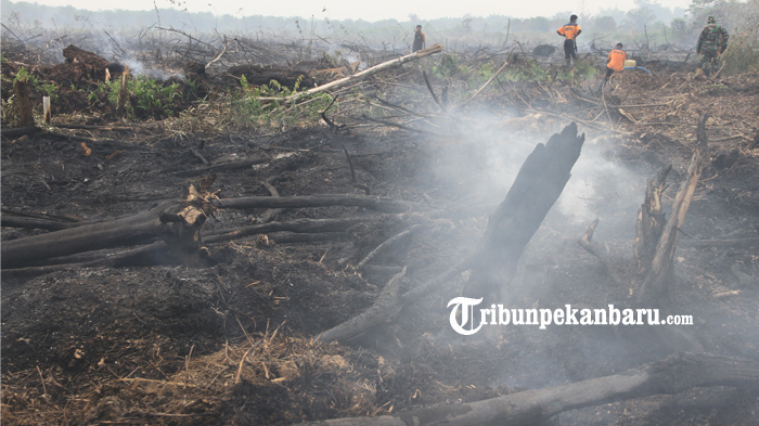 foto_pemadaman_kebakaran_lahan_gambut_di_pekanbaru_1.jpg