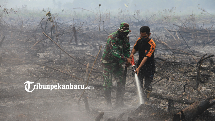 Udara Sudah Level Bahaya, IDI Harap Pemda Riau Tidak Segan Terima Bantuan