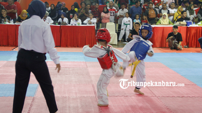FOTO: Ribuan Atlet Ikuti Taekwondo Indonesia Andalan Championship 2019 di Pekanbaru - foto_ribuan_atlet_ikuti_taekwondo_indonesia_andalan_championship_2019_di_pekanbaru_1.jpg
