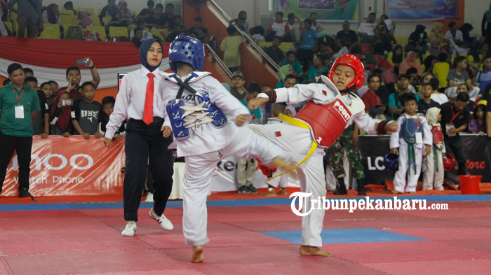 FOTO: Ribuan Atlet Ikuti Taekwondo Indonesia Andalan Championship 2019 di Pekanbaru - foto_ribuan_atlet_ikuti_taekwondo_indonesia_andalan_championship_2019_di_pekanbaru_4.jpg
