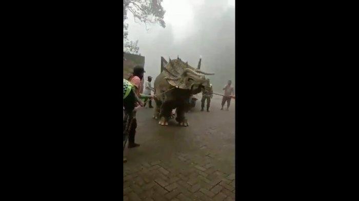 gajah-mirip-dinosaurus-hebohkan-warga-di-magetan-orang-orang-menarik-hewan-besar-itu-tni-juga-ikut.jpg