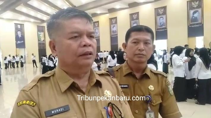 Ratusan ASN Kuansing Terindikasi Bolos Puluhan Hari Belum Diberi Sanksi, ini Kata Plh Sekda - Tribunpekanbaru.com