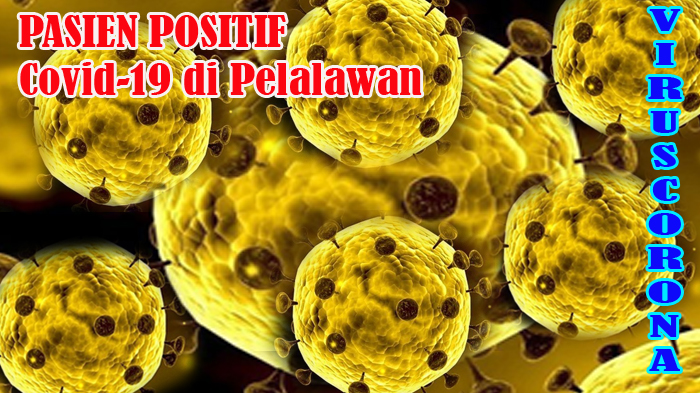 BREAKING NEWS : KESEHATAN Warga di Sekitar Rumah PDP Covid-19 Positif Corona di Pelalawan Diperiksa