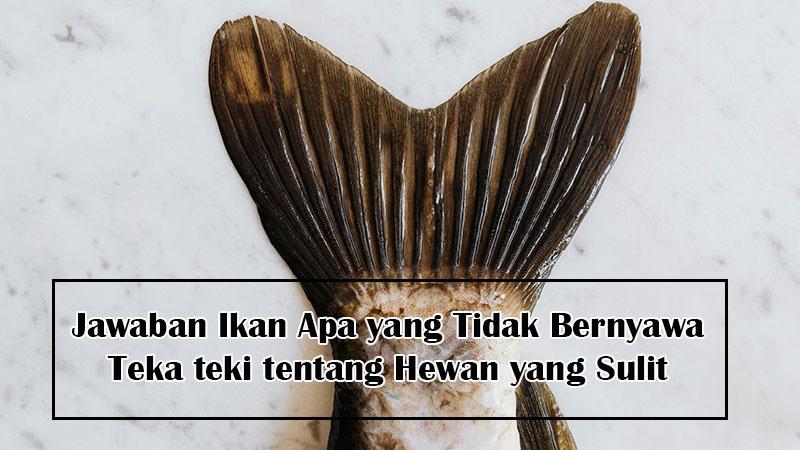 jawaban-ikan-apa-yang-tidak-bernyawa.jpg