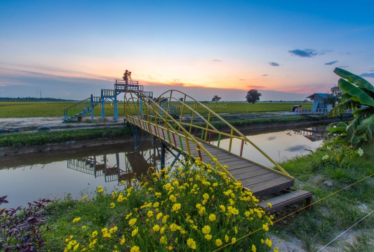 jembatan-agrowisata-bungaraya.jpg