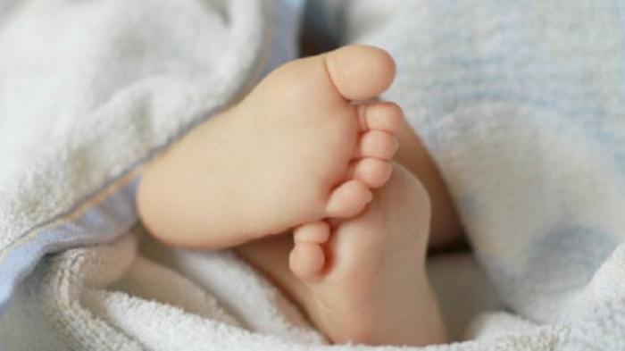 kaki-bayi_20170329_165440.jpg