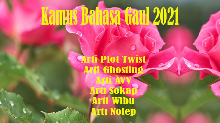 Kamus Bahasa Gaul 2021: Arti Plot Twist, Arti Ghosting, Arti AVV, Arti Sokap, Arti Wibu & Arti Nolep