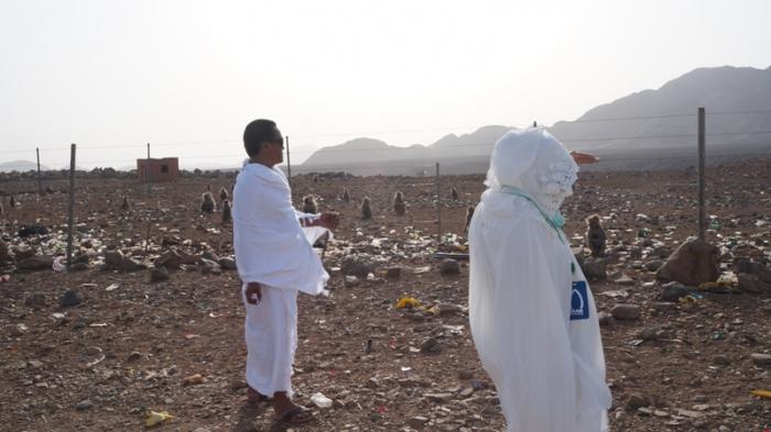 keberadaan-kera-kera-di-sekitar-madinah_20151130_234901.jpg