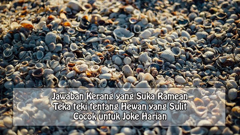 kerang-yang-suka-ramean.jpg