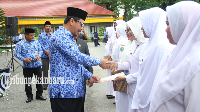kisah-bidan-di-inhu-yang-pernah-menolong-kambing-melahirkan.jpg