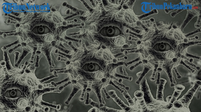 klaster-baru-penyebaran-covid-19-di-riau-narapidana-dan-sipir-terjangkit-virus-corona-dari-siapa.jpg