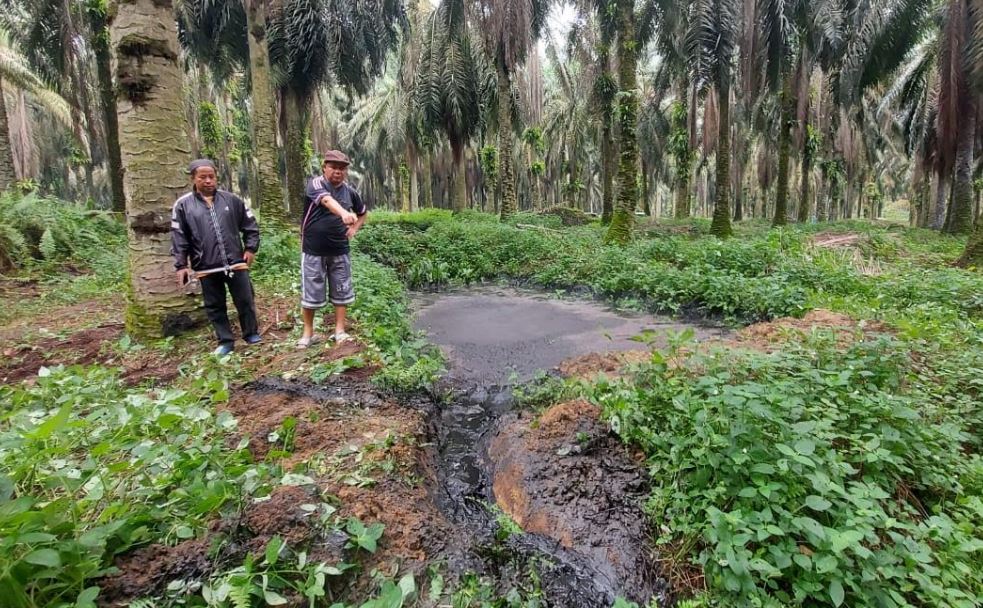 Bahas Limbah, Komisi ll DPRD Pelalawan Bakal RDP dengan PT Serikat Putra dan DLH Serta Masyarakat