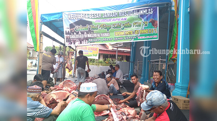 Masjid Al-Ikhlas Tobek Godang Potong 12 Sapi Kurban, Ini Jumlah Kupon Yang Disebar