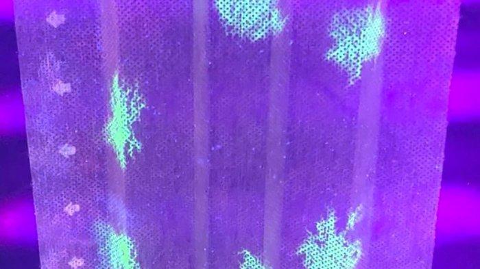 Pakai Antibodi Burung Unta, Peneliti Jepang Buat Masker yang Bisa Bersinar Saat Deteksi Covid-19